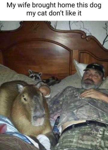 FB_IMG_1687681365070