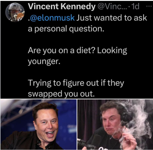 Musk 1