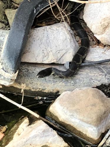 04419699-5B41-46A1-A945-FACEF57D7754