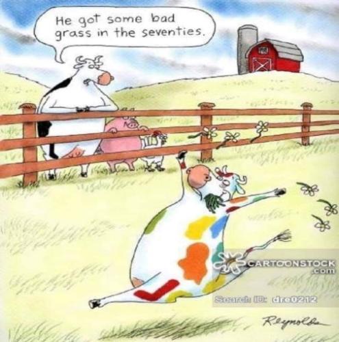 349135179_616137080458956_8628227235337367299_n