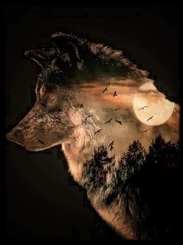 FB_IMG_1687998734603