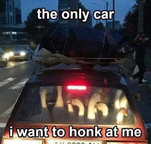 1686248760.357613