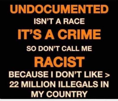 Illegals 1