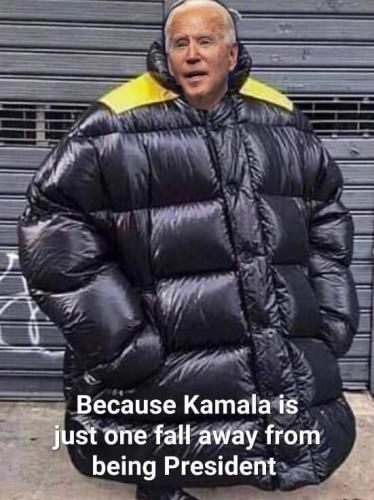 kamala m