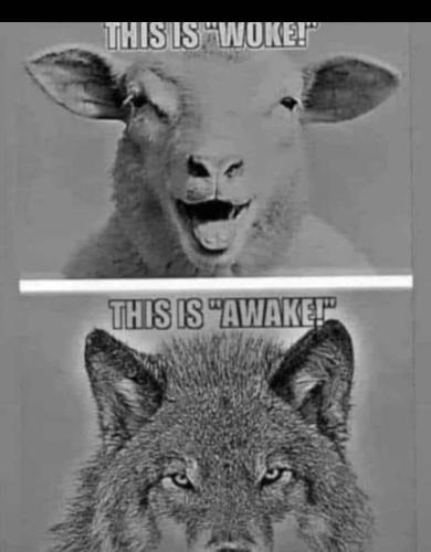 received_660573735486246