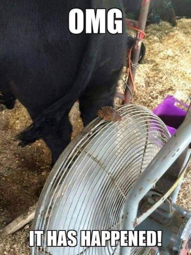 FB_IMG_1687594543212