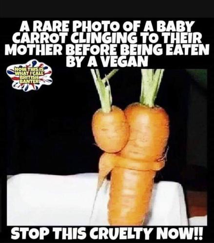 FB_IMG_1563935515925