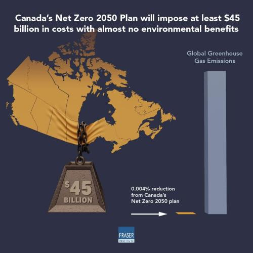 net zero 2050 disaster