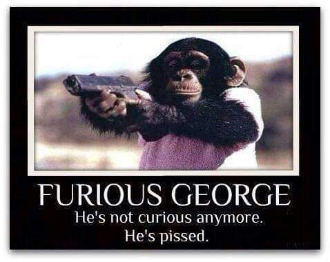 FB_IMG_1686963724424