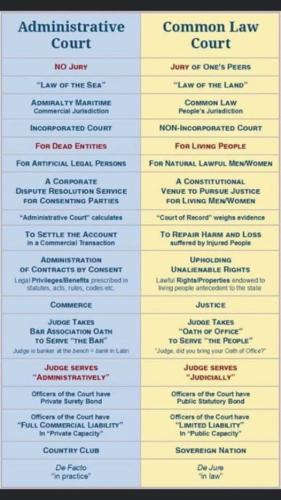 345468989_78308778677