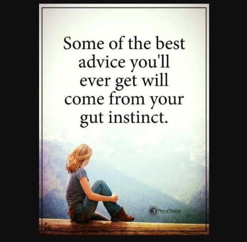 Screenshot_20230623_142009_YouTube