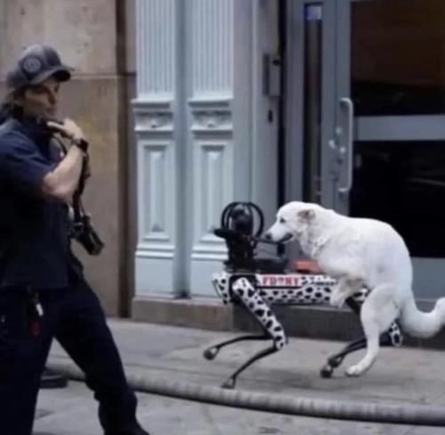 photo_2023-06-09_10-05-10