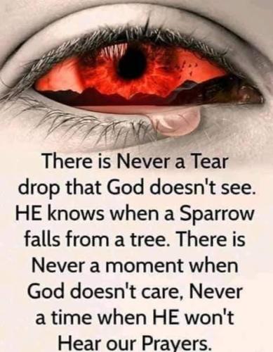 bc934510-d6cf-41ee-9393-7490fef20da3