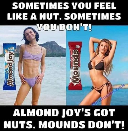 352784339_726219112525860_3539823551504010195_n