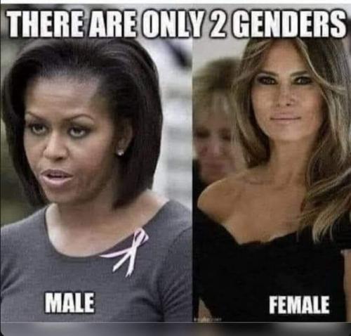 FB_IMG_1686168181949