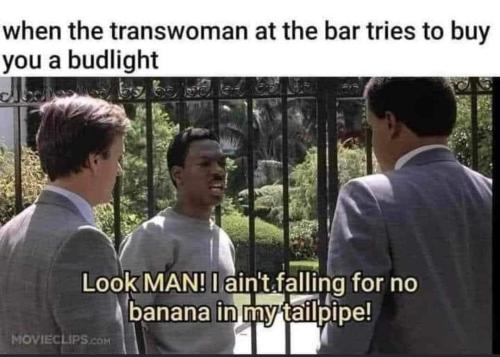 FB_IMG_1687803196852