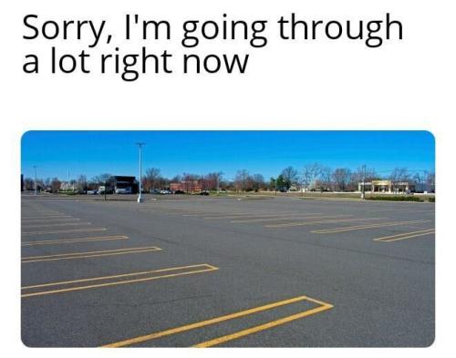 355320506_652357910263221_4106378645578127906_n