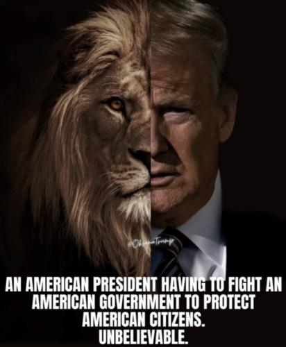 FB_IMG_1686328559533