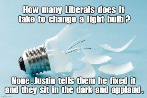 how many liberals