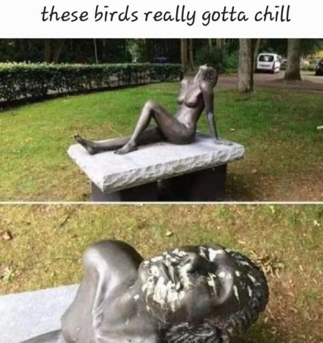 1687164256.237299