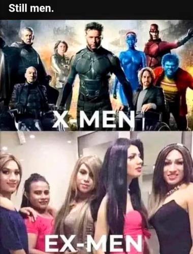 FB_IMG_1688003958882