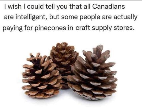 pine cones