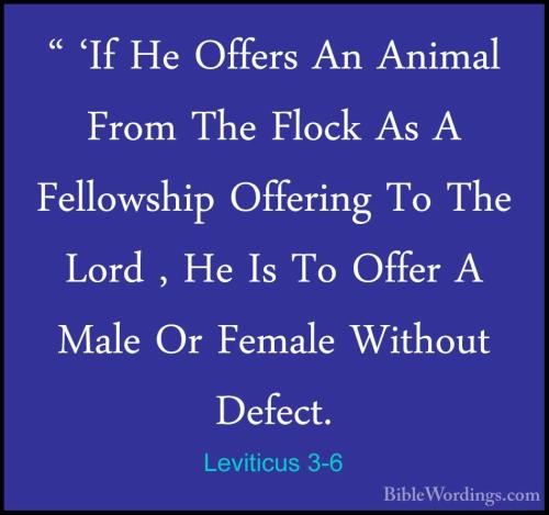 Leviticus 3_6