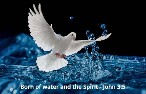 born-water-and-spirit-john-35