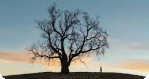 Screenshot_20230620_084928_Google