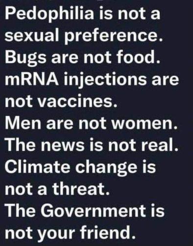 FB_IMG_1685961601487