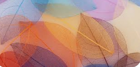 Screenshot_20230614_083428_Google