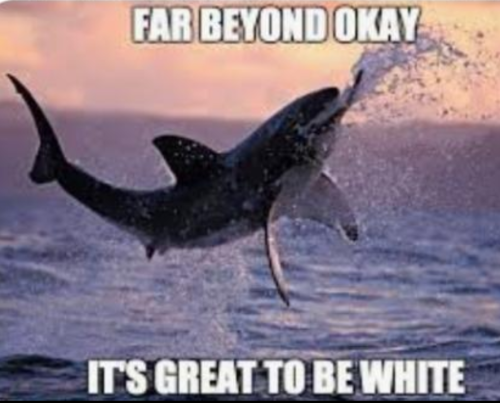 Screenshot_20230606-161840~2