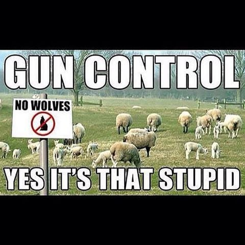 Gun control wolves