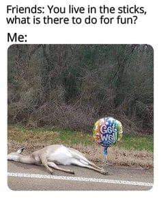 FB_IMG_1686952203166