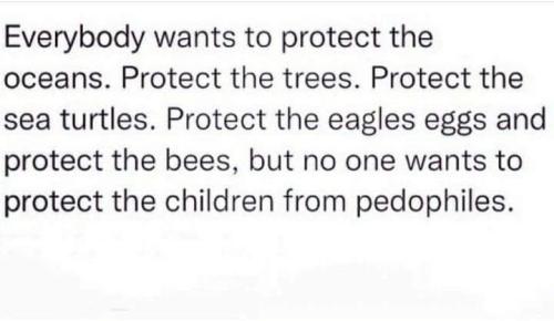 FB_IMG_1686493181838