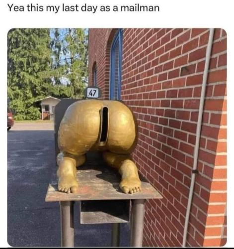 FB_IMG_1686164739379