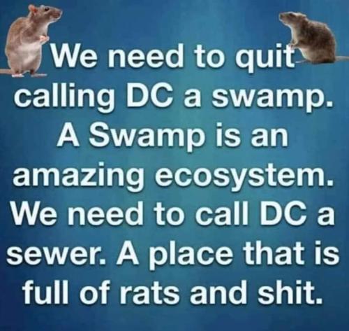 FB_IMG_1687681624056