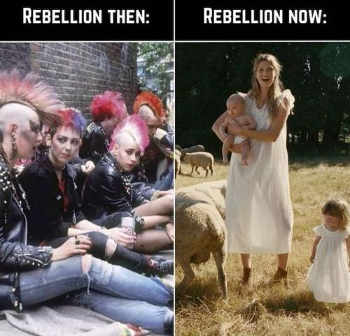 Rebellion 1