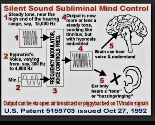 Screenshot_20230606_203642_Photos