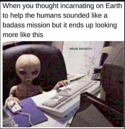 Screenshot_20230610_230045_Chrome