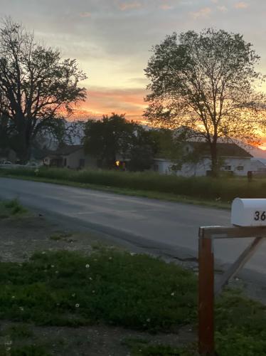 CB6E2E8D-6950-4123-B15B-6AC5E744AD4D