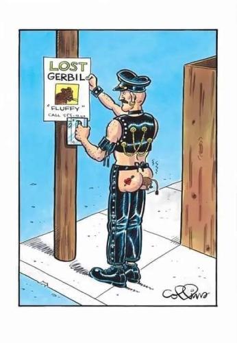 FB_IMG_1688051158567