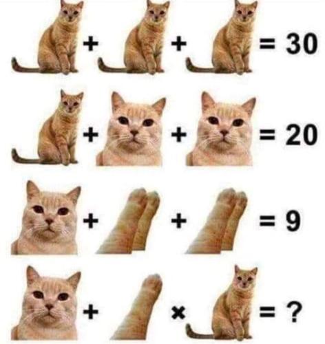 351323884_33795457889