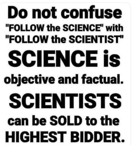 FB_IMG_1685918397695