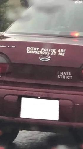 FB_IMG_1686343575187