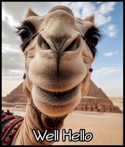 tumblr_524c292cc7dd2951040db42de0235e61_abd77e42_1280