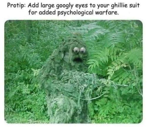 FB_IMG_1686789050970