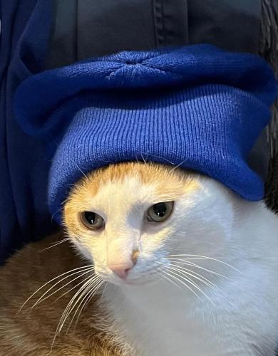 30b7e814-e706-4af9-a454-252980debc14