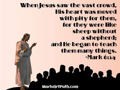 FB_IMG_1686867834242