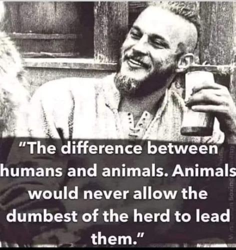 354433987_1660674821117715_1764280201127948152_n